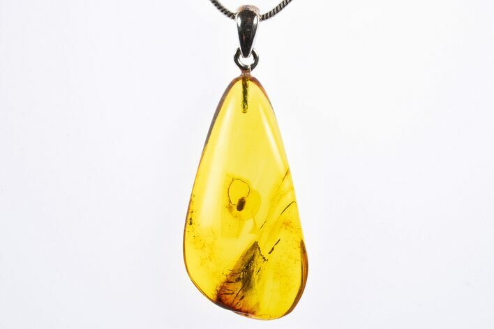 Polished Baltic Amber Pendant (Necklace) - Contains Beetle! #322001